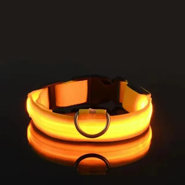 BOOTEELY Luminous Fluorescent Pet Dog Collar