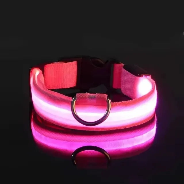 BOOTEELY Luminous Fluorescent Pet Dog Collar