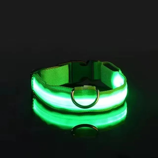BOOTEELY Luminous Fluorescent Pet Dog Collar