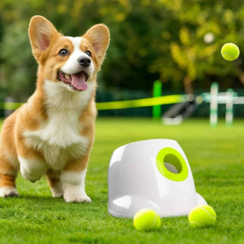 dog ball launcher