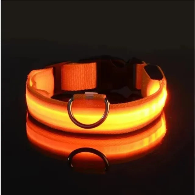 BOOTEELY Luminous Fluorescent Pet Dog Collar