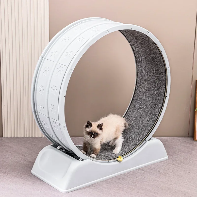 Cat Exercise Wheel for Indoor