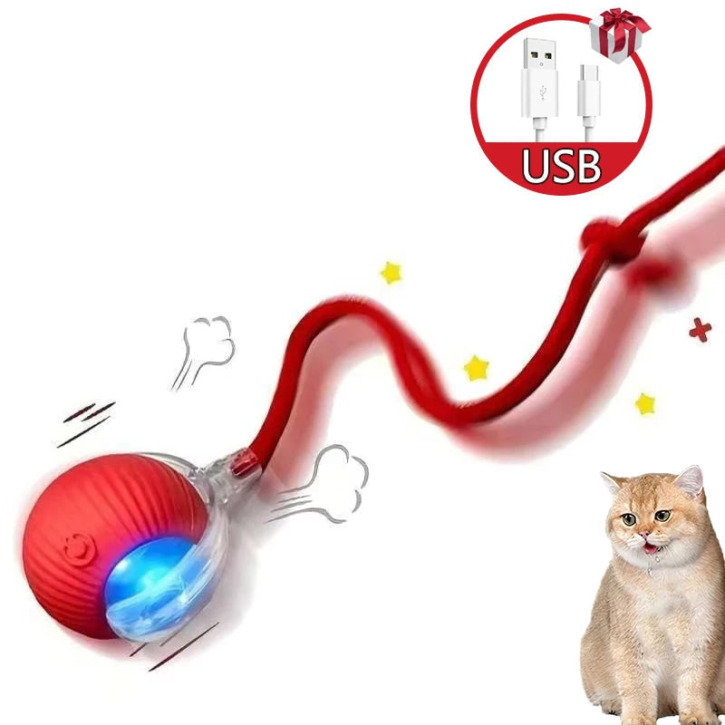 2Pcs Cat Interactive Ball Toys