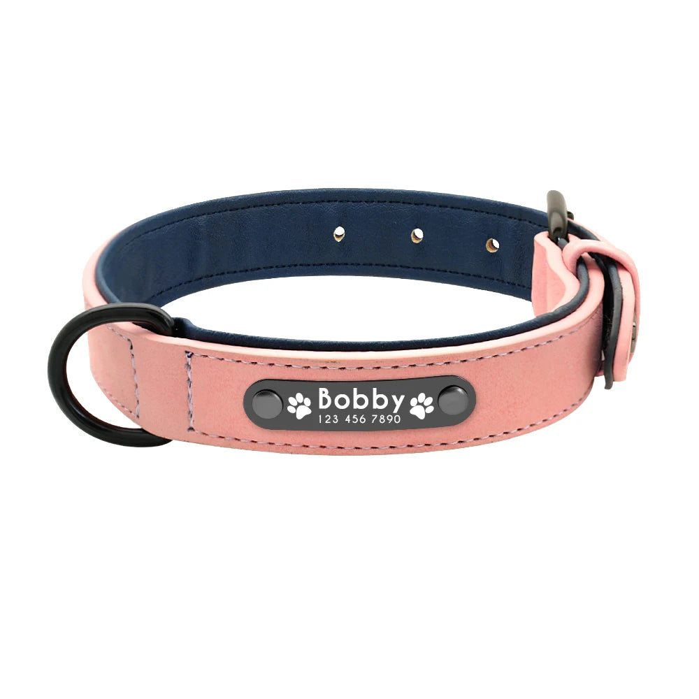 Custom Leather Dog Collar Leash Personalized