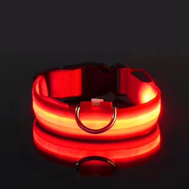 BOOTEELY Luminous Fluorescent Pet Dog Collar