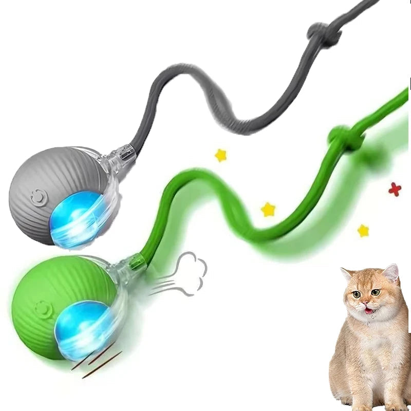 2Pcs Cat Interactive Ball Toys