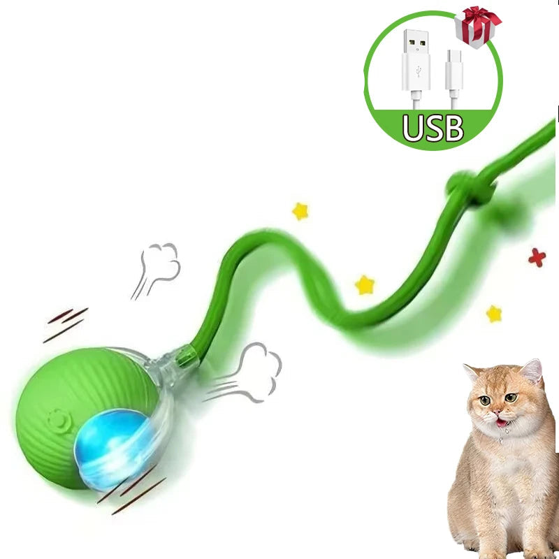 2Pcs Cat Interactive Ball Toys