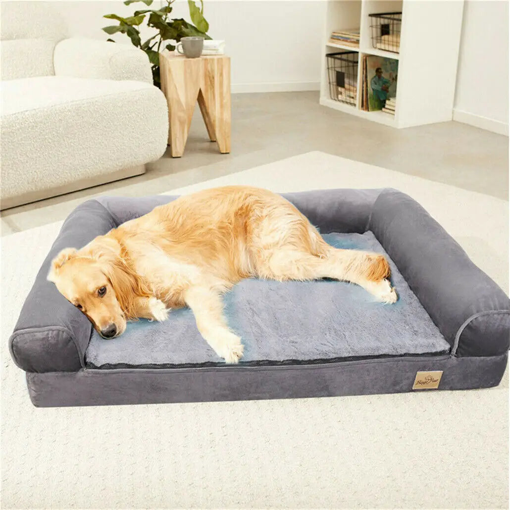 orthopedic dog bed