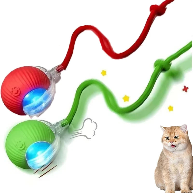2Pcs Cat Interactive Ball Toys