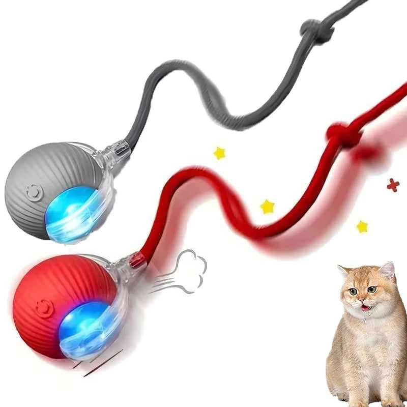 2Pcs Cat Interactive Ball Toys